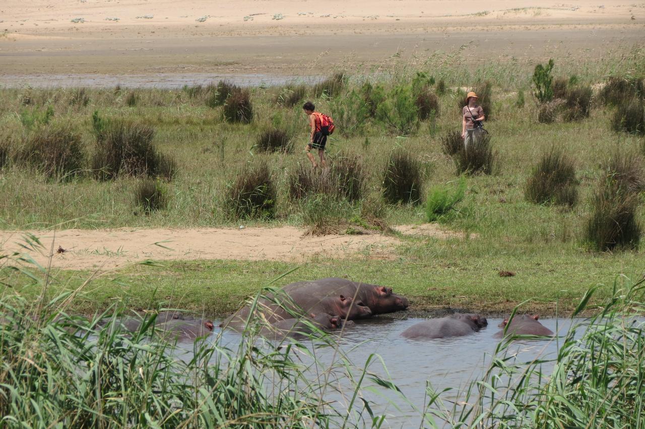 Lodge Afrique Сент-Люсия Экстерьер фото