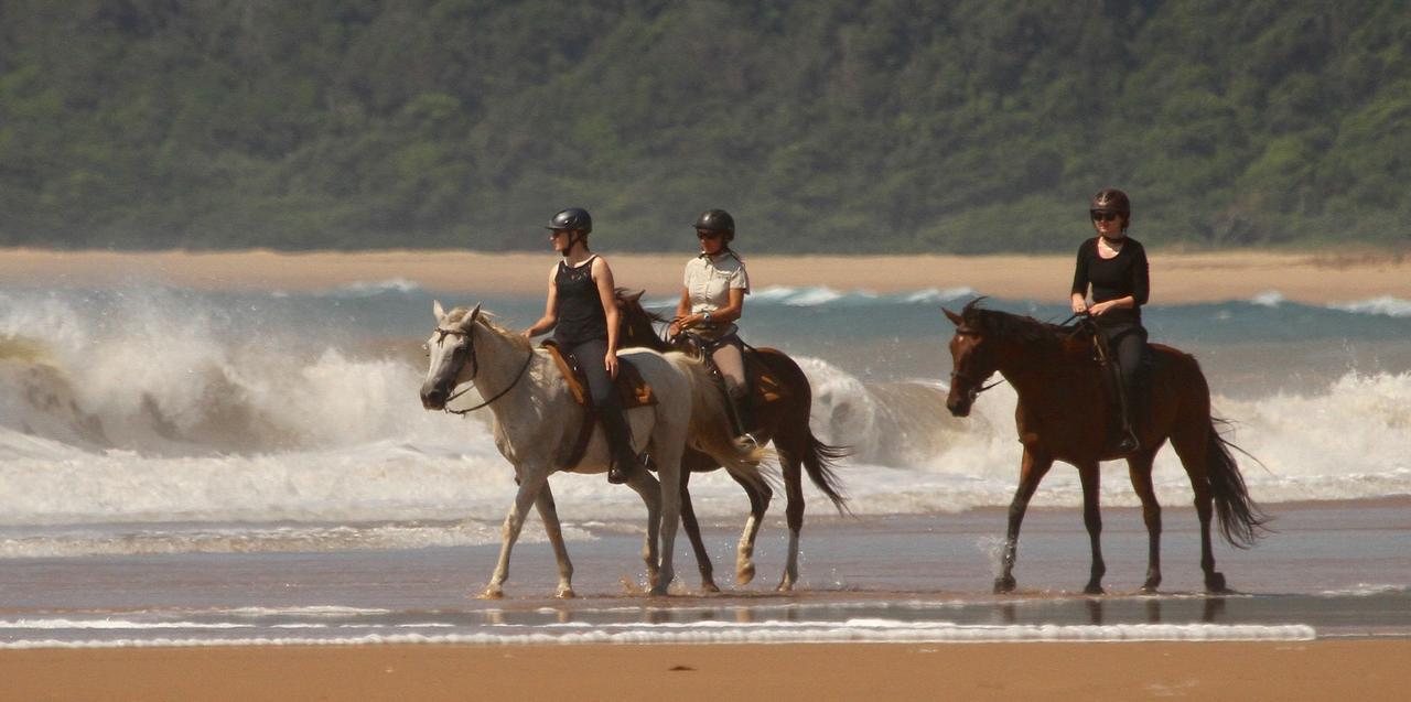 Lodge Afrique Сент-Люсия Экстерьер фото